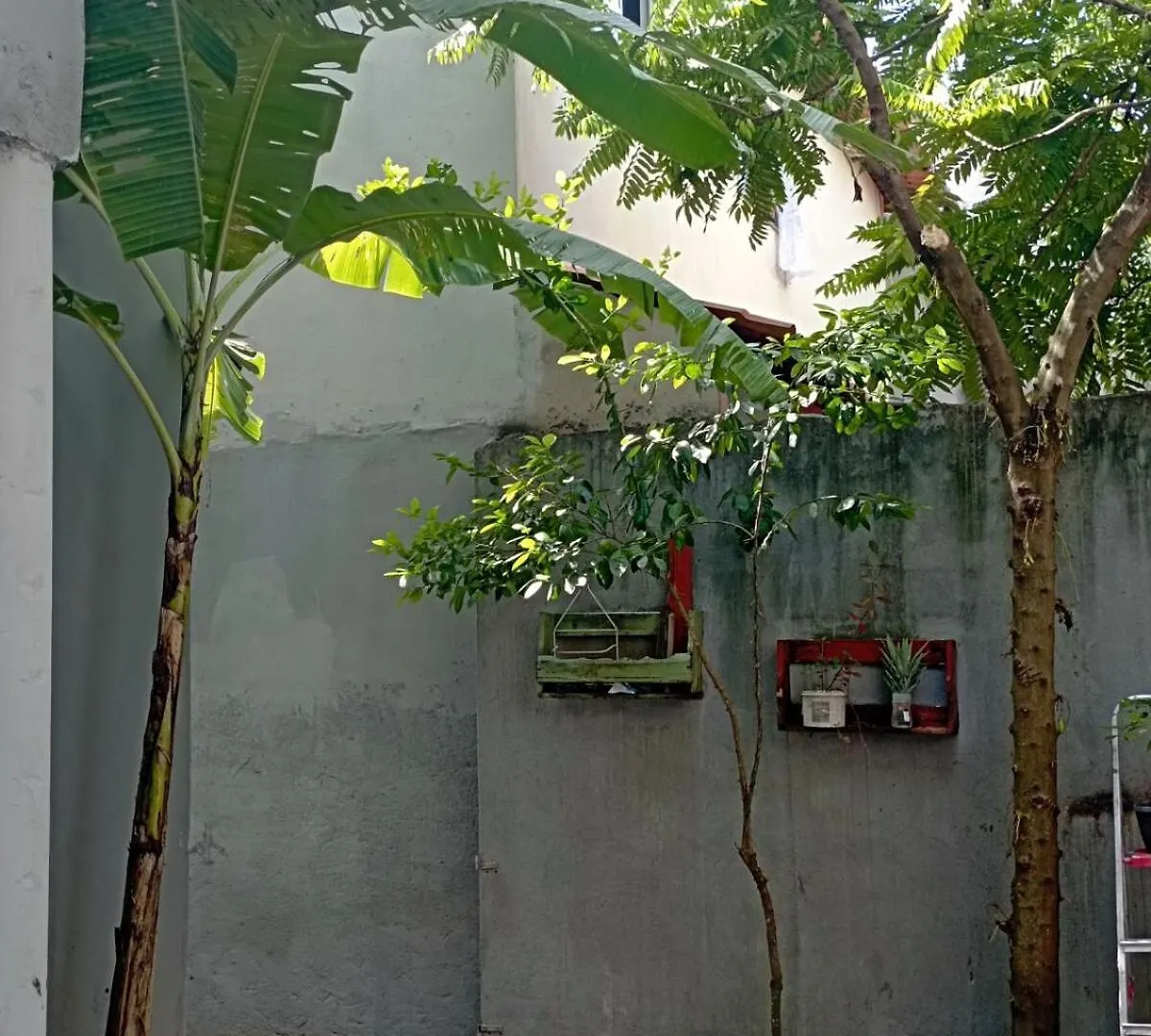 Casa De Mainha Villa Porto Seguro Holiday home